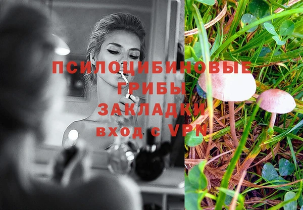 PSILOCYBIN Алексин