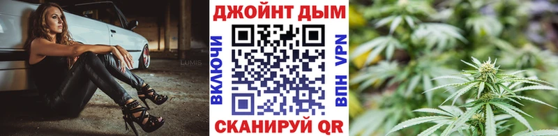 kraken ССЫЛКА  Курлово  Бошки марихуана сатива 